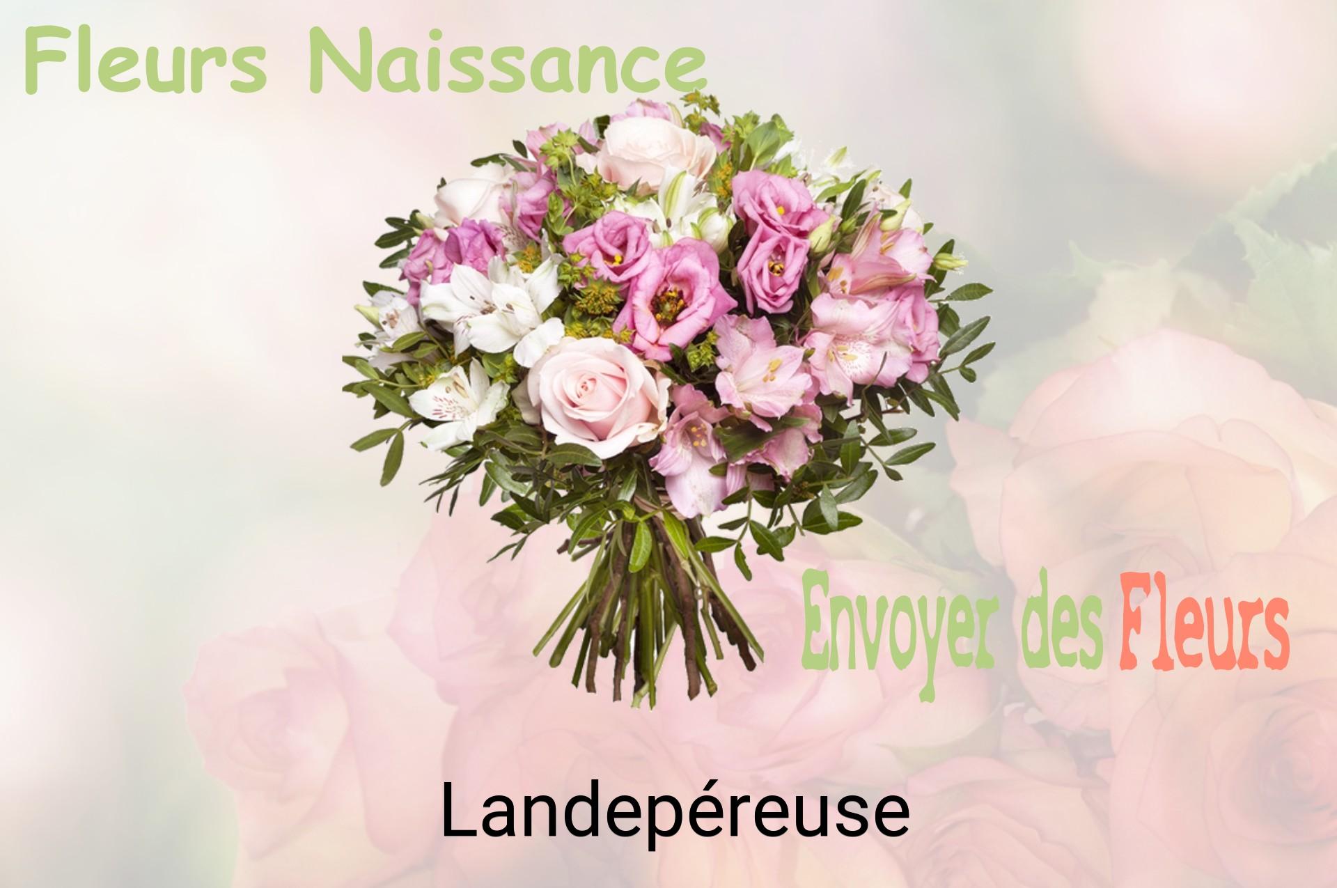 Bouquet de fleurs de naissance livré à Landepéreuse