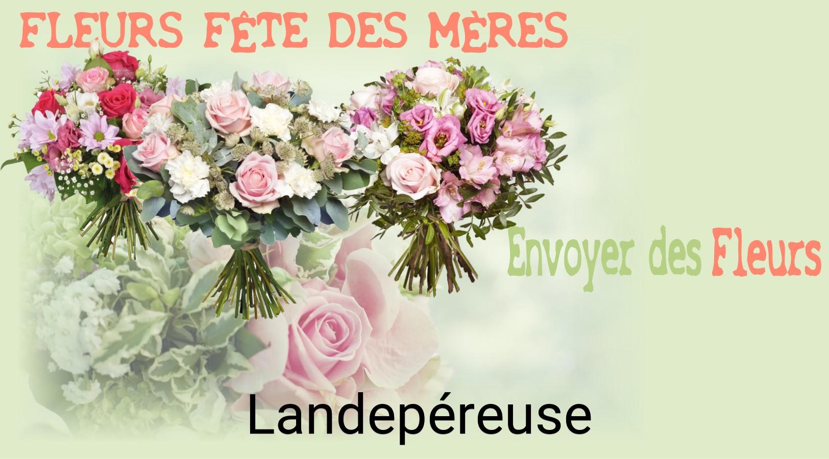 Bouquet de Fête des Mères livré à Landepéreuse